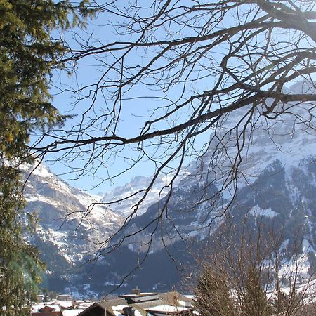Lodge - Elements Lodge Grindelwald Exteriör bild