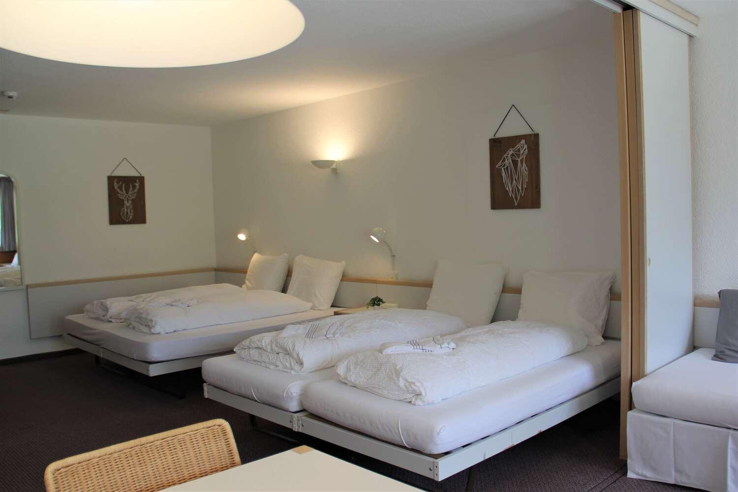 Lodge - Elements Lodge Grindelwald Rum bild