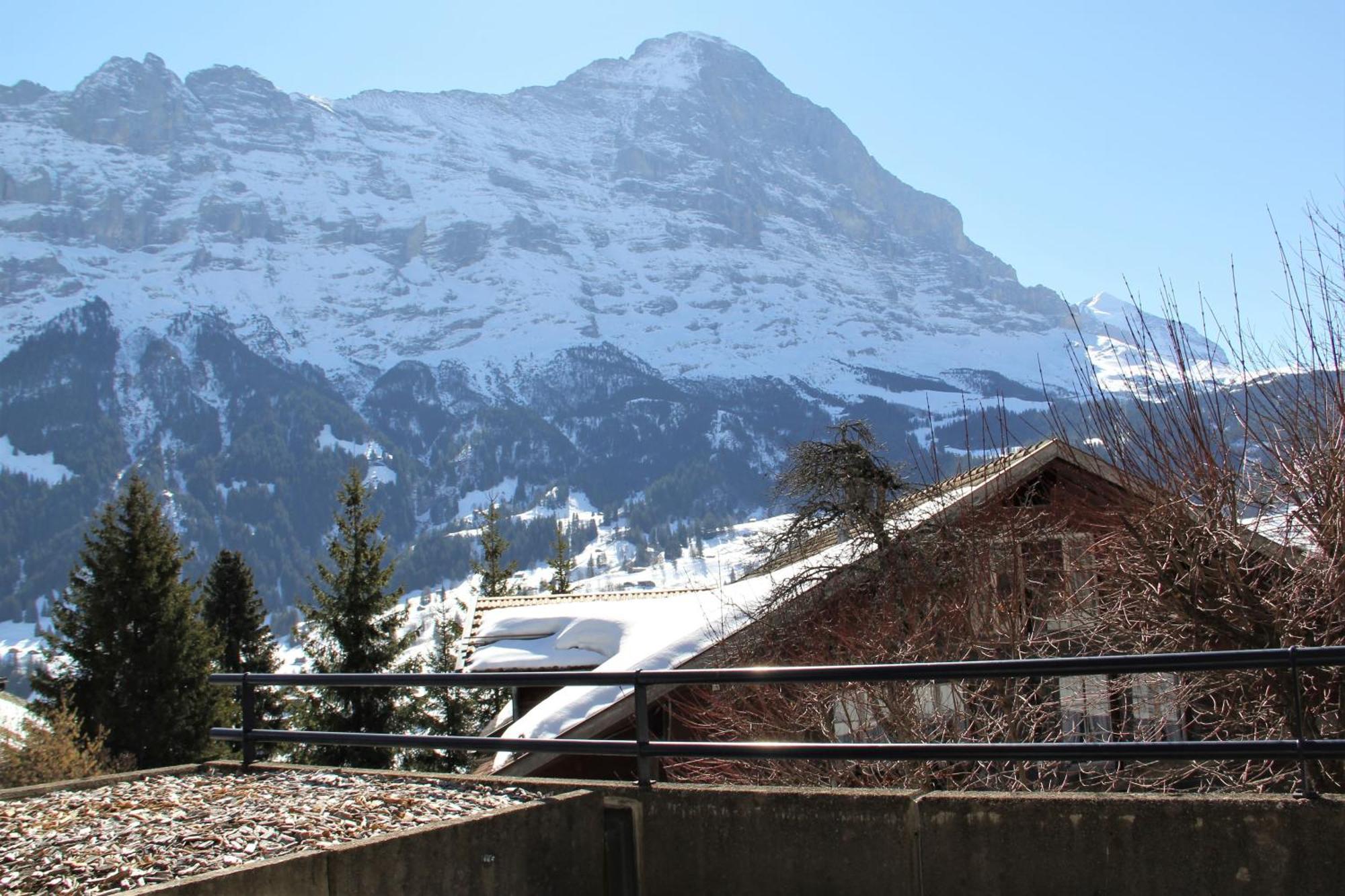 Lodge - Elements Lodge Grindelwald Exteriör bild